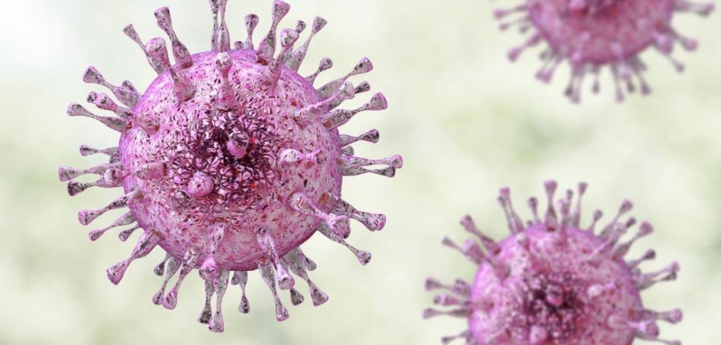 Цитомегаловирус (ЦМВ) - очень распространенный вирус, принадлежащий к семейству вирусов герпеса.